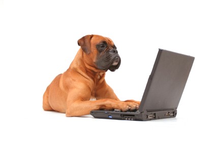 121 Training - Online